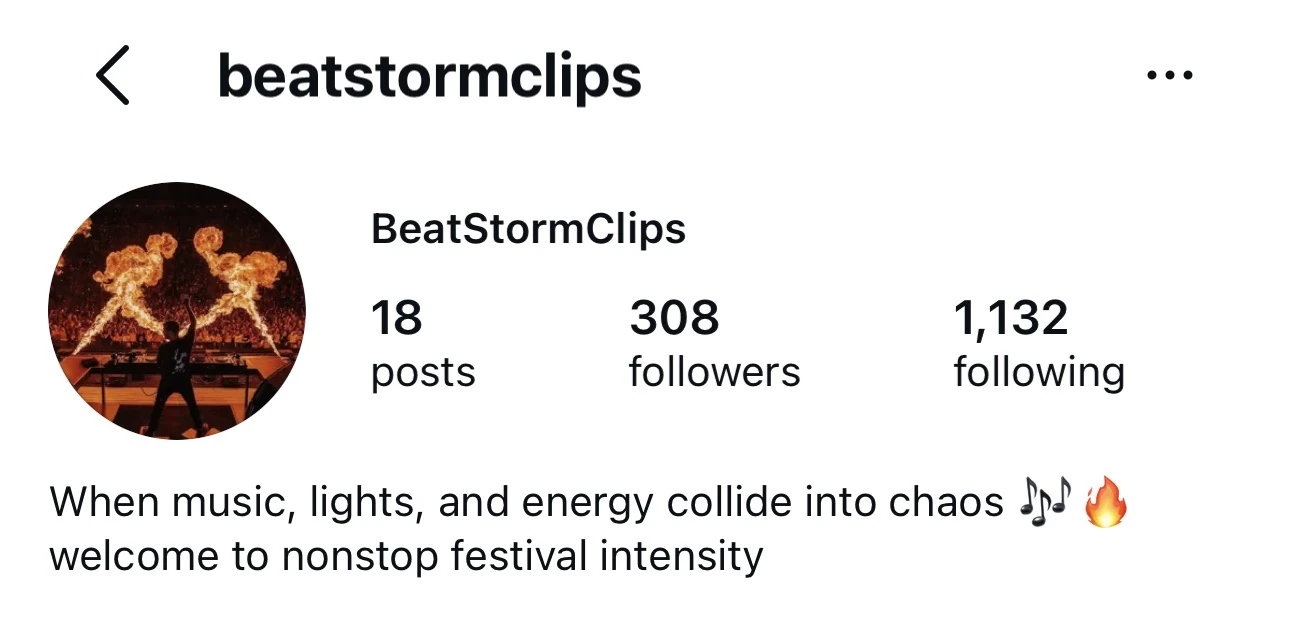 Instagram fan page example beatstormclips with a festival theme