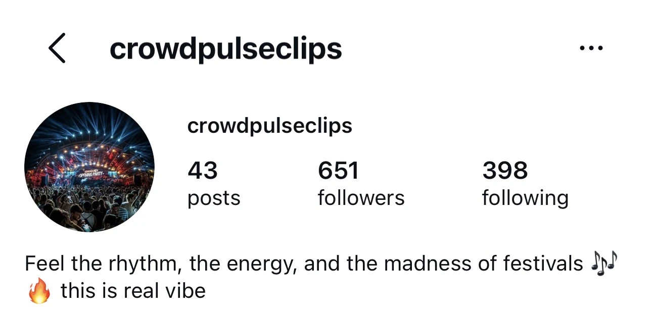 Instagram fan page example crowdpulseclips with a festival crowd theme