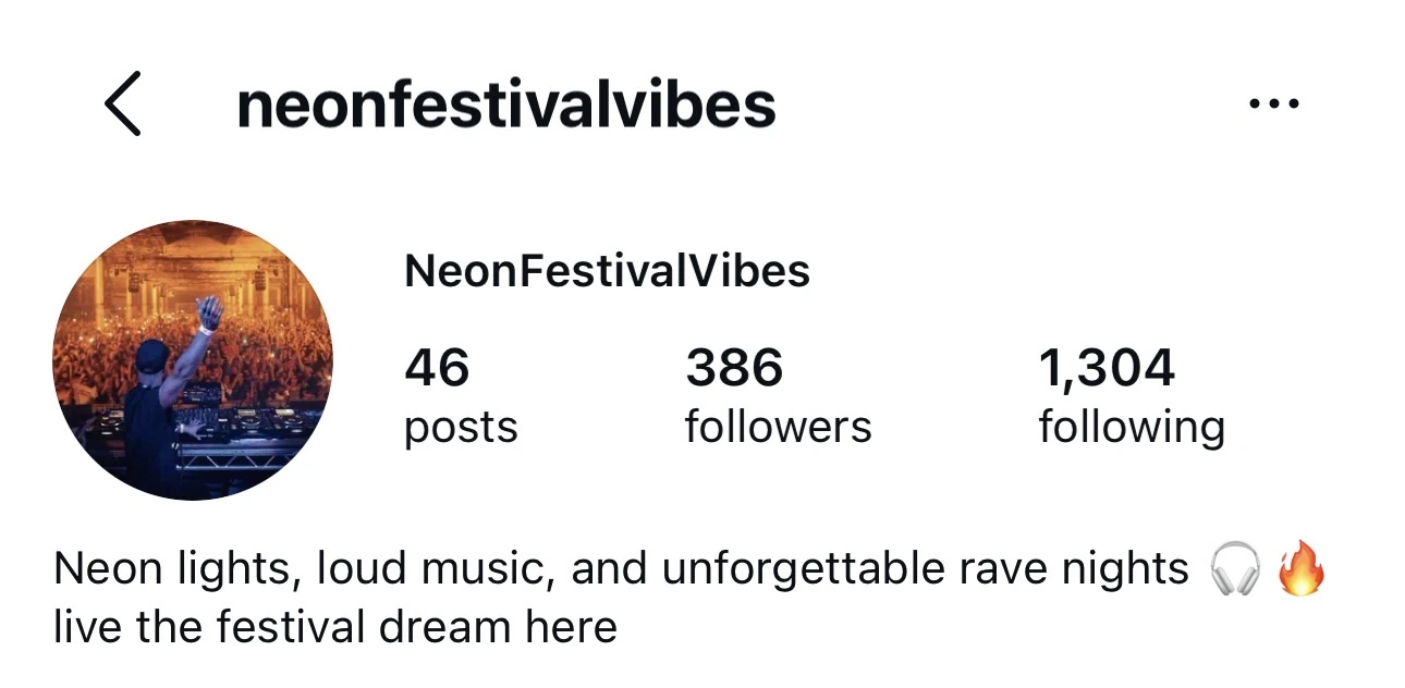 Instagram fan page example neonfestivalvibes with a rave theme