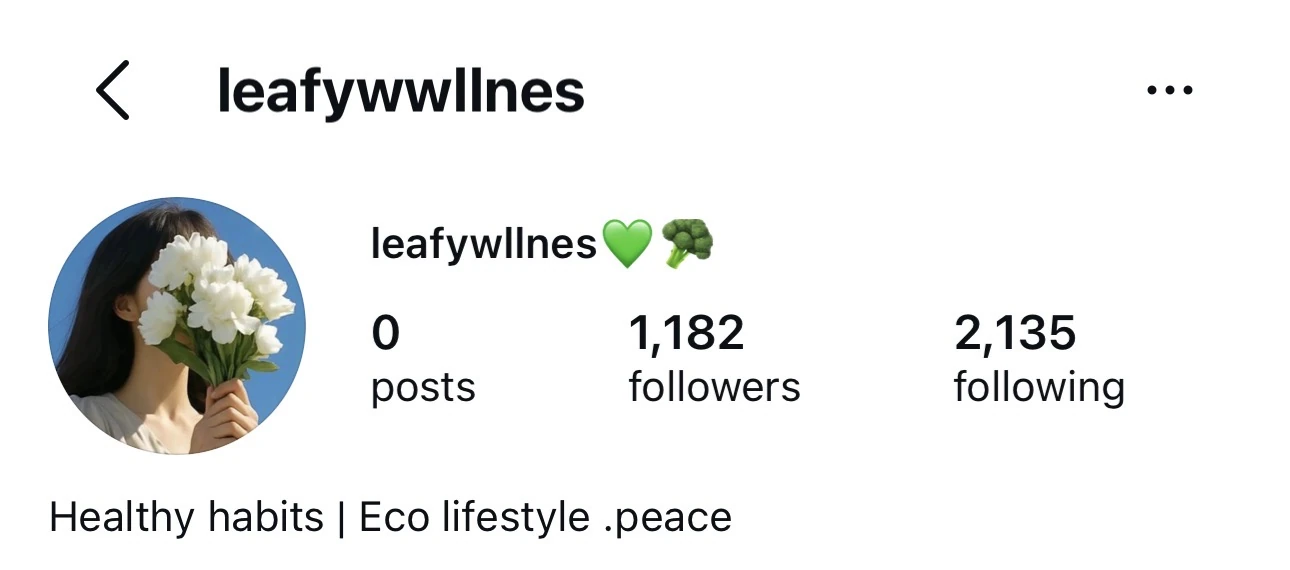 Instagram fan page example leafywwllnes with a healthy eco lifestyle theme