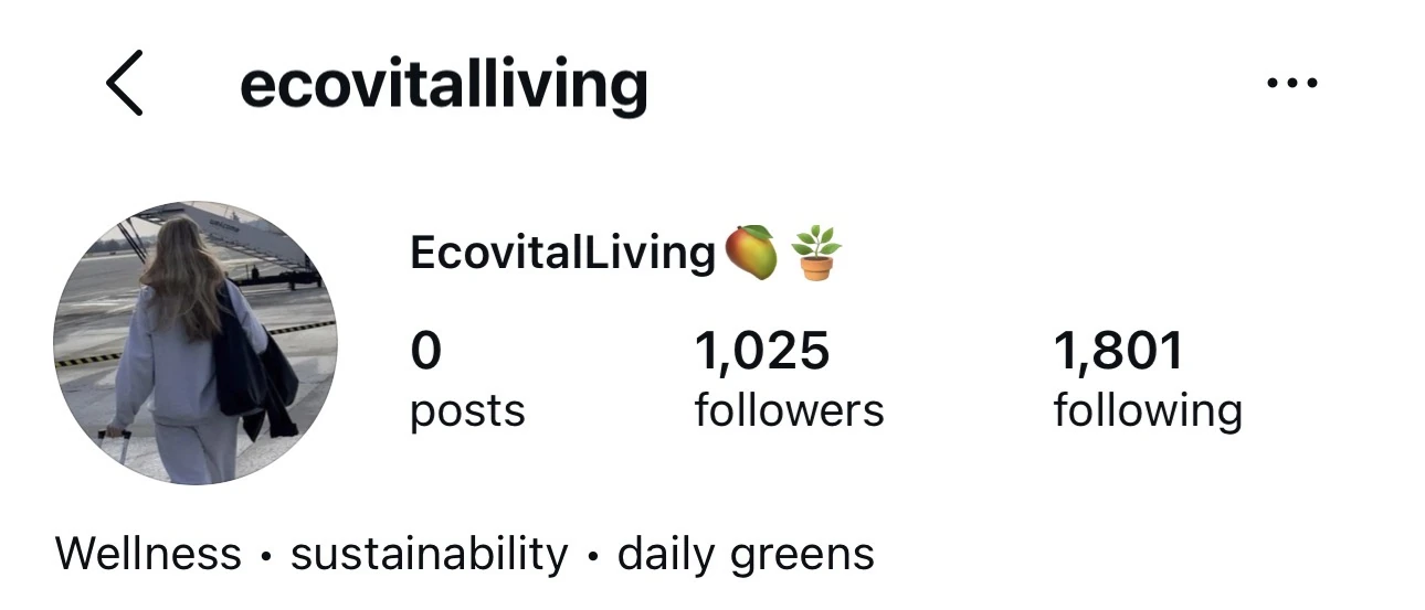 Instagram fan page example ecovitalliving with a sustainable wellness theme
